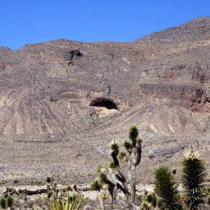 The Cave