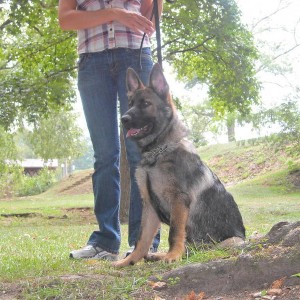 Link at park1