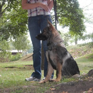 Link at Park 2