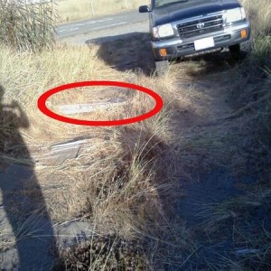 dropped mud flap
