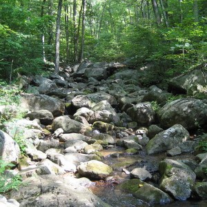 Shoe Creek 8/28/10