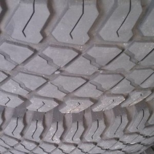 IMAG00542
