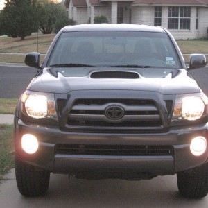 Tinted Fog Lights