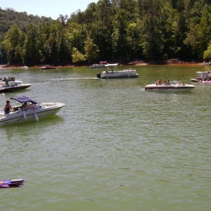 Cove by the bridge at Norris