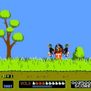 duckhunt