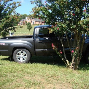 2011 Tacoma