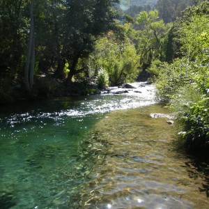FOSSIL_CREEK_007