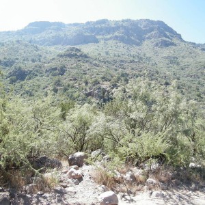 FOSSIL_CREEK_026
