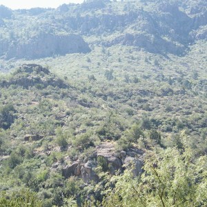 FOSSIL_CREEK_027