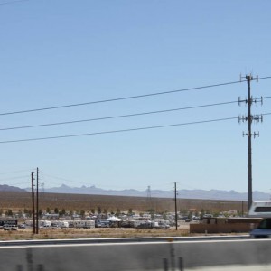 IMG_44261