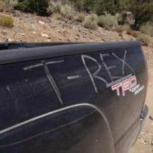 T-Rex
