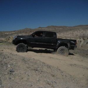 vegas meet