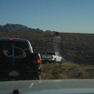 vegas meet