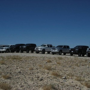 vegas meet