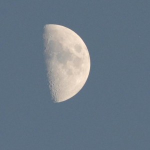 DSC_0191re
