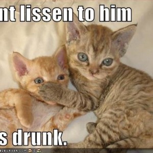 drunk kitty
