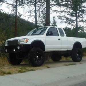 taco204