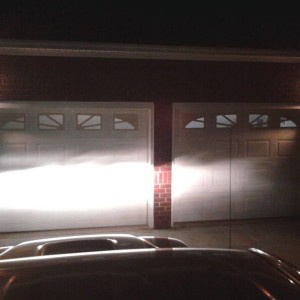 OEM bulbs