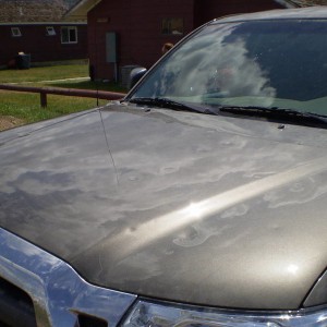 Camera_dump_273