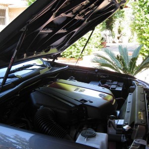 RedLine Quick Lift Plus Hood Struts