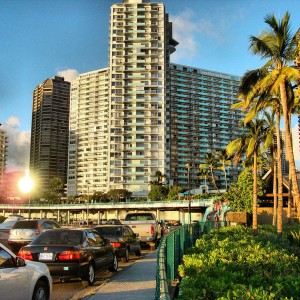 My Vacation In Hawaii