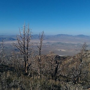 IMAG01151