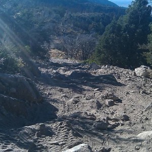 IMAG0121