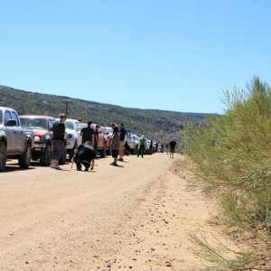 AZ Trail Day 2010