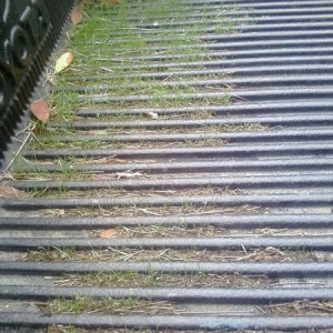bed mat's still growing strong ;)