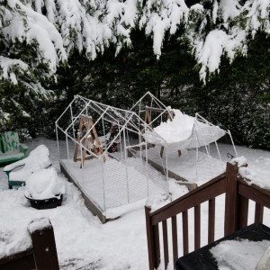 20190212_100426
