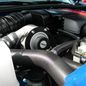 DSCN4646