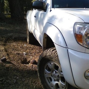 the tacoma