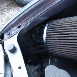Debris screen