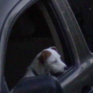 Idaho_Sept_113