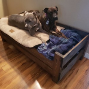 Finished their bed. I think they like it