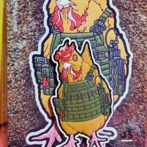 Chicken