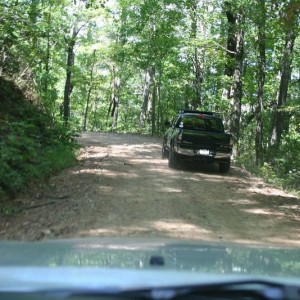 amicalola_009