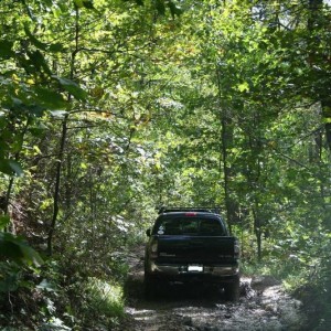 amicalola_016