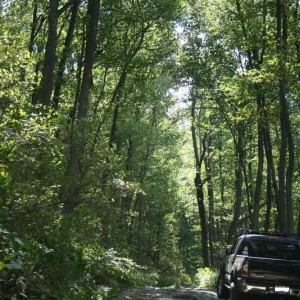 amicalola_012