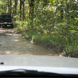 amicalola_021