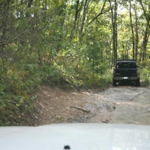 amicalola_018