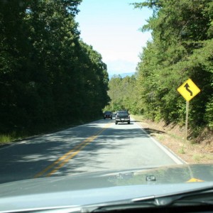 amicalola_005