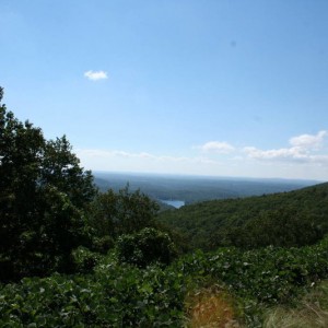 amicalola_004
