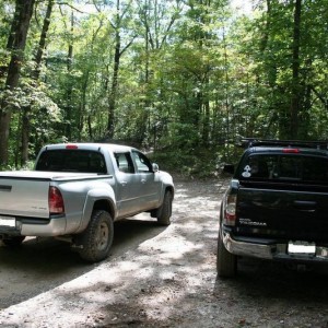 amicalola_023