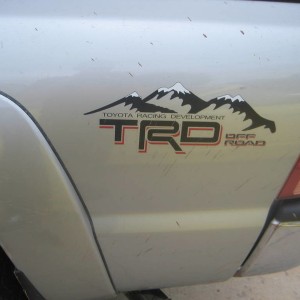 Decal_11
