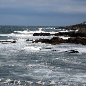 Perkins Cove off Marginal Way Maine