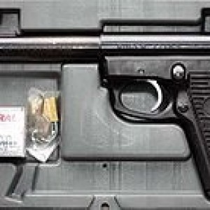 250px-Ruger-22-45