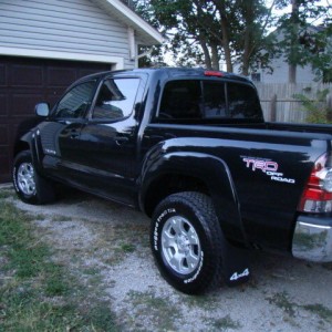 NEW TO THE FORUM