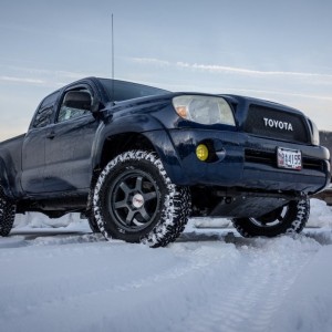 Snowy Falkens