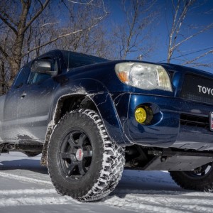 Snowy Falkens